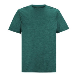 CAMISETA REGATTA FINGAL EDITION VERDE RMT237-ZM7 2